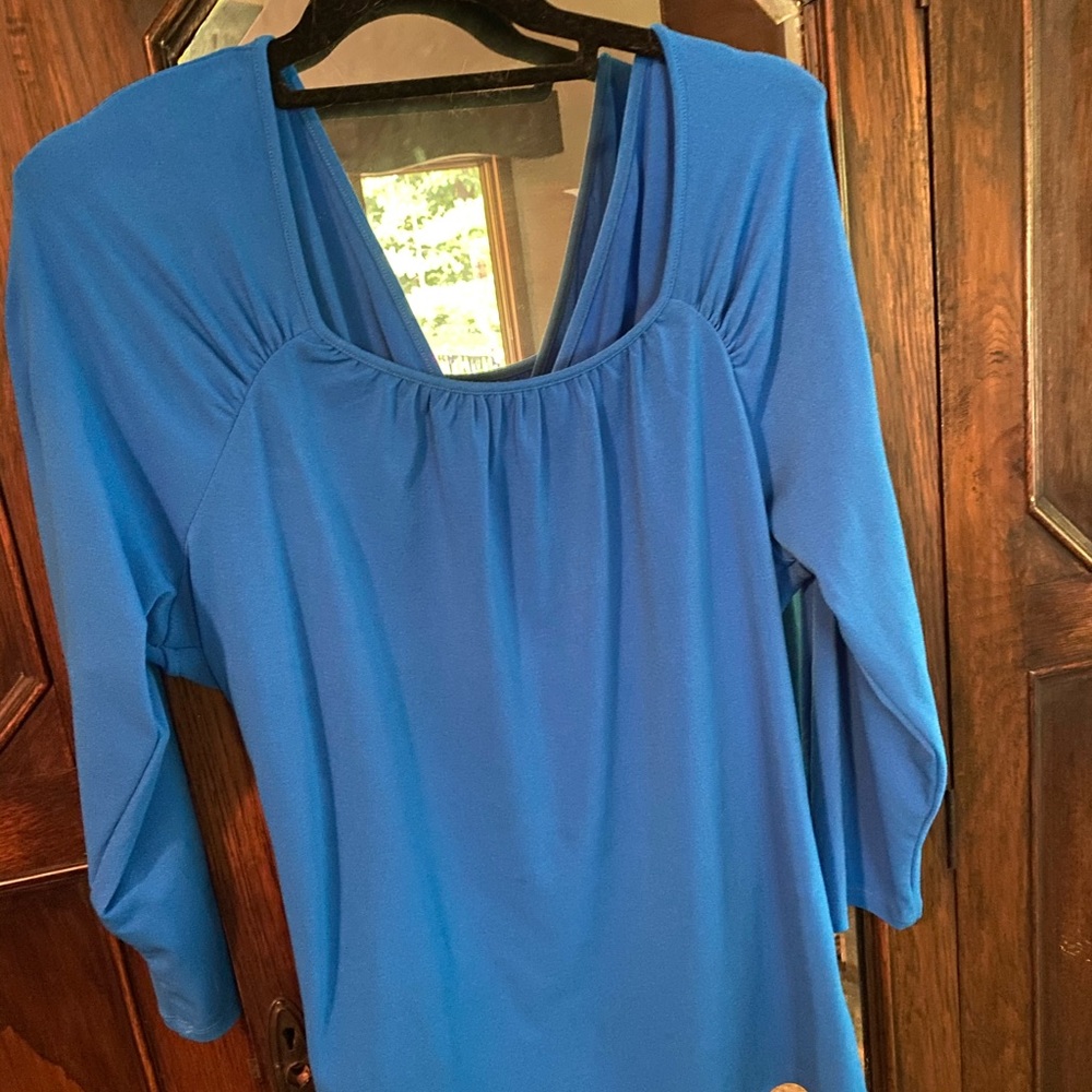 Ann Taylor blouse with V-back detail.